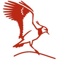 edition ueberland (@eueberland) 's Twitter Profile