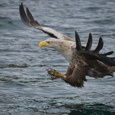 toffee57's profile picture. 