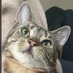 Honeyโs mom (@karensamson24) Twitter profile photo Honeyโs mom (@karensamson24) Twitter profile photo