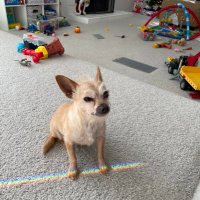 Kelly (@kelly0534) 's Twitter Profile