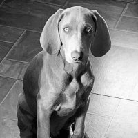 Ruth Barden (@bardenruth) 's Twitter Profile