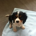 Gary Blount - @Gary_Blount - Twitter