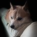 Guruu_G (@guruugaming) Twitter profile photo Guruu_G (@guruugaming) Twitter profile photo