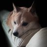 GuruuGaming's profile picture. 