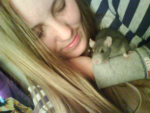 hello!
me and my family have a wide variety of pets, including;
rats, dogs, gerbils, rabbit, hamsters, and fish.

feel free to follow me :)