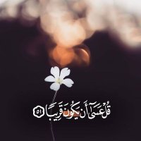 عابر سبيل (@grg2378) Twitter profile photo