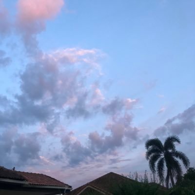 iwanttodieisus's profile picture. 