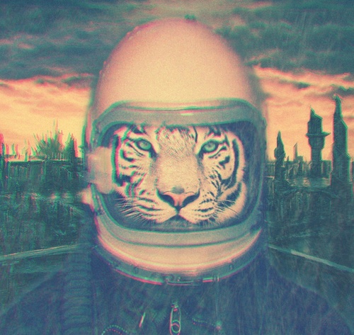 _heavyrotation's profile picture. 