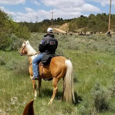 Kal05184119's profile picture. 