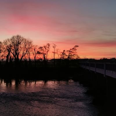 EdelOConr's profile picture. Be Kind
Views are my own