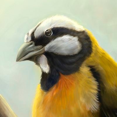 Wildlife Illustrator and Scientific Artist | Open for creative opportunities and commissioned work.