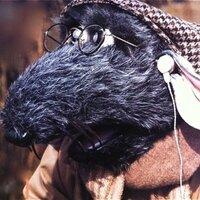 Freddy Rat (@freddyrat) 's Twitter Profile