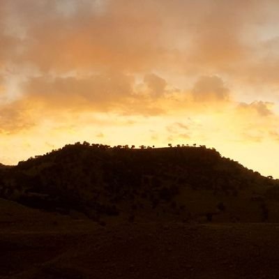 Hedimh0's profile picture. 