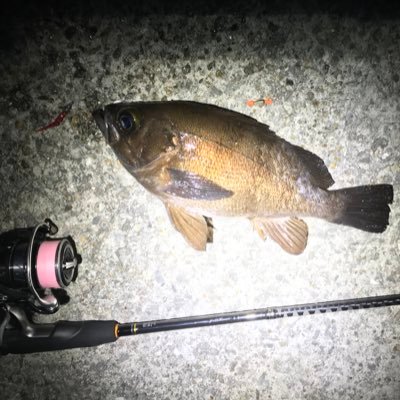 ハゲへいさんのプロフィール画像