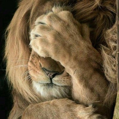 Plan your work for today then work your plan
Res ipsa loquitur
The size of the challenge is matched only by the strength of my ambition to tackle it