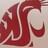 wsuNSMH's profile image