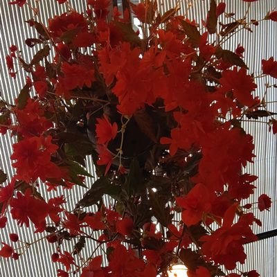 puiGHAT7B5GwcsV's profile picture. 保安法人→浄水場施設管理しています。