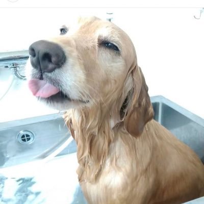 imp9001's profile picture. 