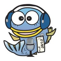 ラジボラちゃん かわさきFM(自称公式アイドル)1000フォロワー達成感謝&もうすぐ立体化ぼら?! (@rajibora) 's Twitter Profile