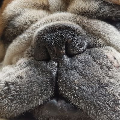 mespinoza217's profile picture. Médico, anticorreista, ciudadana intolerante con la estupidez.