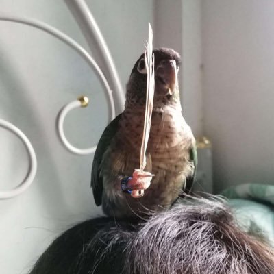 LordShrinker's profile picture. Your mum is a milf.