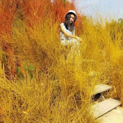 NamNam23182740's profile picture. ดูหนัง ฟังเพลง