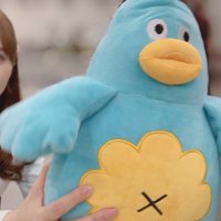 スックン (@szk_nogihinata) 's Twitter Profile Photo