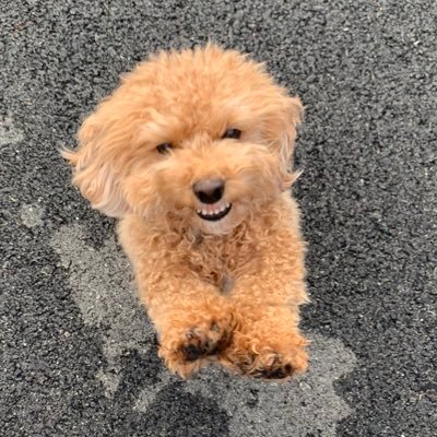 jamiesoph_'s profile picture. If you can't find the sunshine, be the sunshine