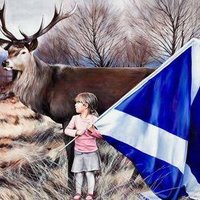 MrM 🏴 (@superfind) 's Twitter Profile