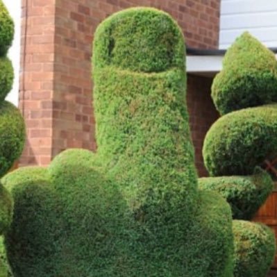 johnnycee62's profile picture. 