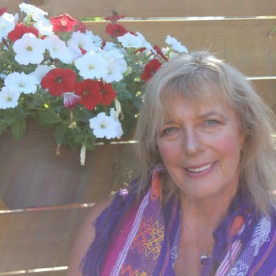 SchellenbergCo3's profile picture. 