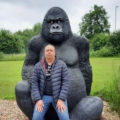 hungjelly's profile picture. 