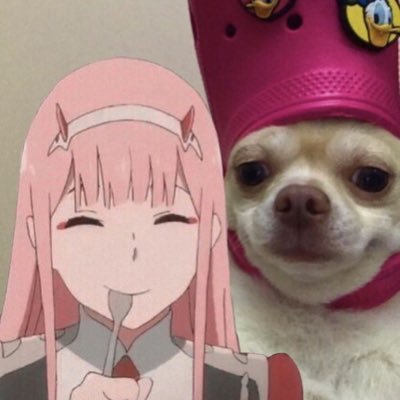 zama11711's profile picture. Otaku 🇯🇵, pero del norte 🤠🇲🇽