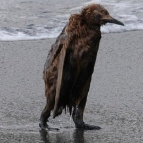 BusterSci's profile picture. 