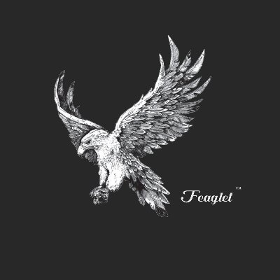 FEAGLET2's profile picture. We focus on the production and wholesale of high-quality mobile phone repair parts. Here, you can get the latest industry news, promotional activities, customer