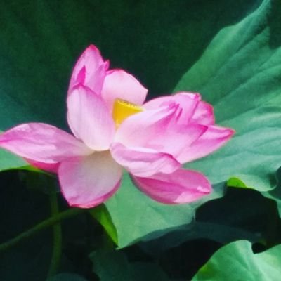 えりんさんのプロフィール画像