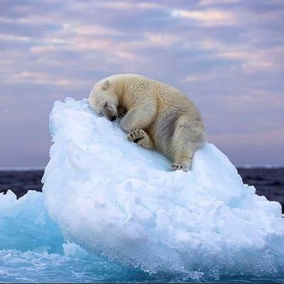 DORINGDRAAD's profile picture. When you speak the truth in love, you won't need to prove your point.