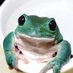 しろ🐸 (@r4q6of39iahhzhg) Twitter profile photo しろ🐸 (@r4q6of39iahhzhg) Twitter profile photo