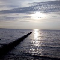 G.A. (@gerd63334533) 's Twitter Profile