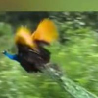 Everlpve (@everlpve) 's Twitter Profile