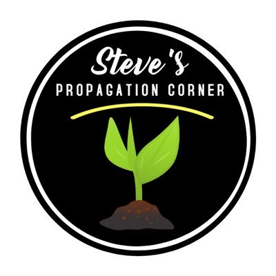 Sharing my care and propagation tips to help others grow their houseplant collection. Check out my YouTube channel for more!