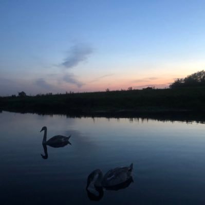 Air BNB afloat on a narrowboat, set in rural Nottinghamshire, you'll be in total escape, with wildlife surrounding you.