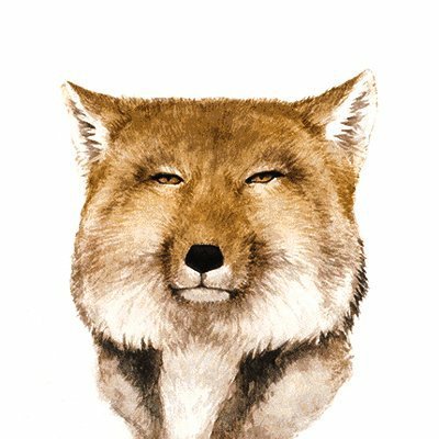 A square-faced fox, alcohol-blooded, not married, a son of GuP. janekchenowski#1113 and may be found on Zello. 我爱北京天安门 https://t.co/mT3IXIpZDm…