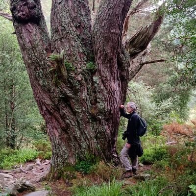 Head of Arboretum RBG, Kew. Author The Immortal Yew, Gardening With Drought Friendly Plants & Growing roses https://t.co/uAxGOZgjAQ