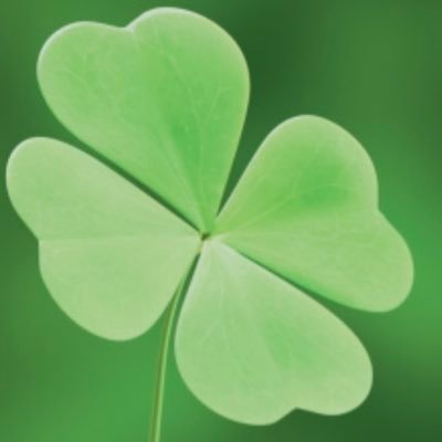 yamadaa_uraaka's profile picture. 変態メス豚を飼いはじめました。