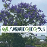 八幡屋スポーツパークセンター(@chutaikoho) 's Twitter Profile Photo