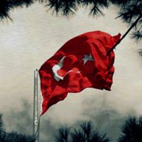 Nurullah Taraklı ⚛(@taraklinurullah) 's Twitter Profile Photo