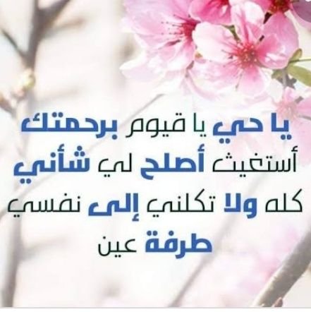 JKaqnxO0dPTKqay's profile picture. 