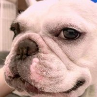 ena (@sooooo05620563) 's Twitter Profile