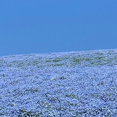 👩29👨32の共働き/PCOS&精子無力症/2019.09💍2020.03自然妊娠→稽留流産→2021.09タイミング法④×→人工授精④×→採卵①3個→移植①×→採卵②12個